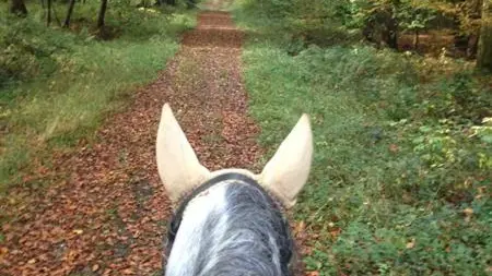 Gîtes de France® - Gîte du  Vallon doré