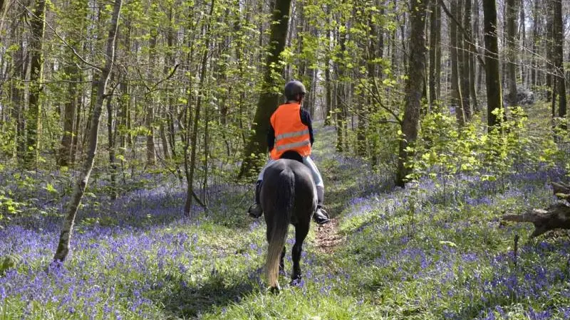 Gîtes de France® - Gîte du  Vallon doré
