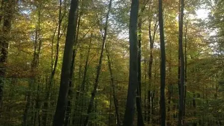 Gîtes de France® - Gîte du  Vallon doré