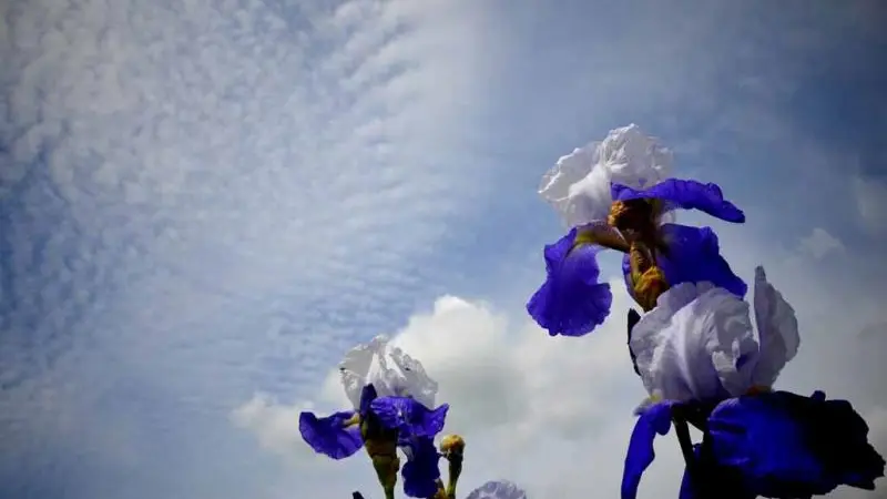 Gîte du  Vallon doré