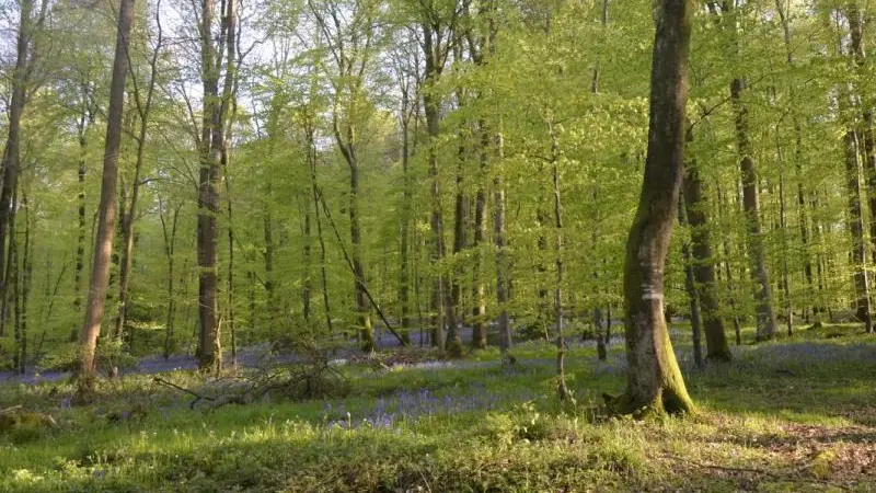Gîtes de France® - Gîte du  Vallon doré