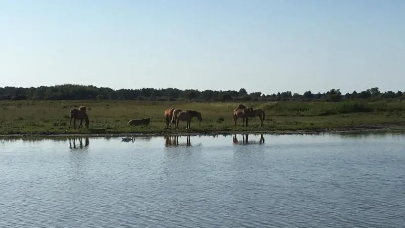 Gîte du  Vallon doré