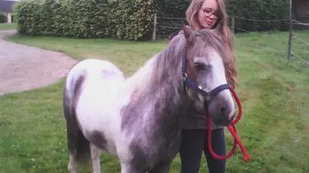 Gîtes de France® - Gîte du  Vallon doré