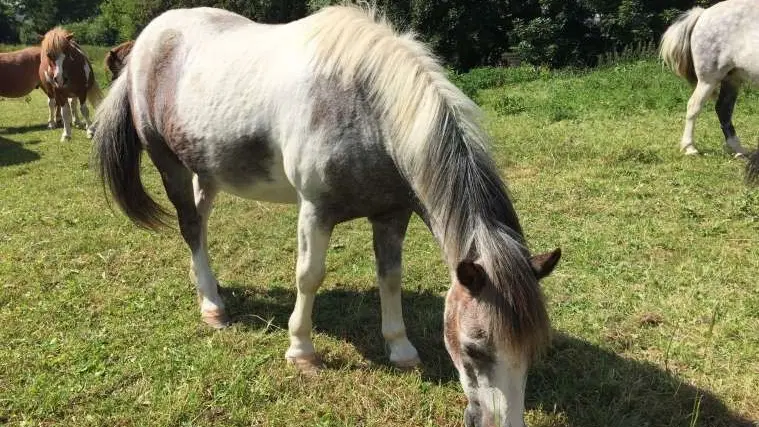 Gîtes de France® - Gîte du  Vallon doré