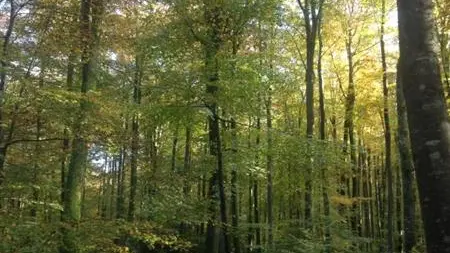 Gîtes de France® - Gîte du  Vallon doré