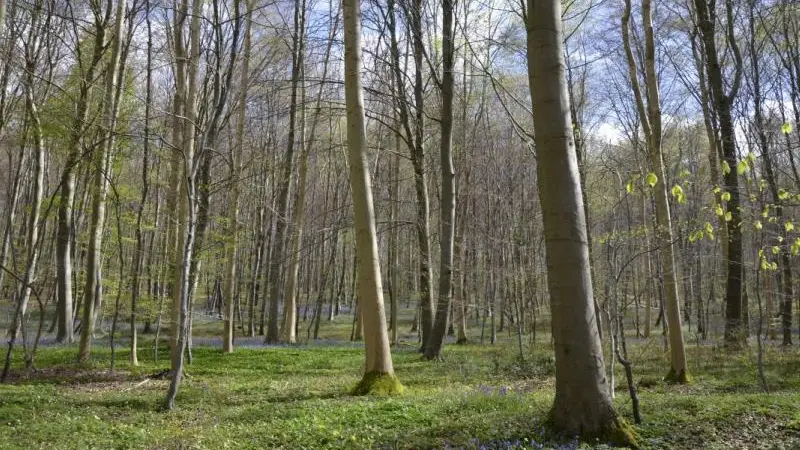 Gîte du  Vallon doré
