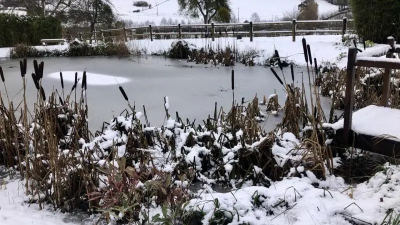 Gîtes de France® - Gîte du  Vallon doré