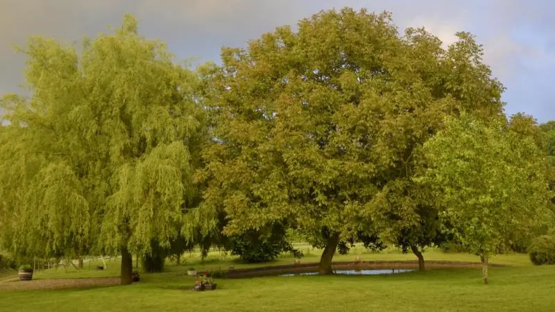 Gîte du  Vallon doré