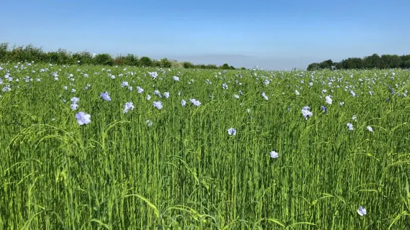 Gîtes de France® - Gîte d'Eclehêtre