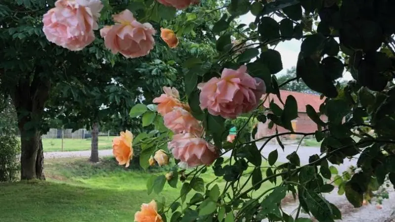 Gîtes de France® - Gîte d'Eclehêtre