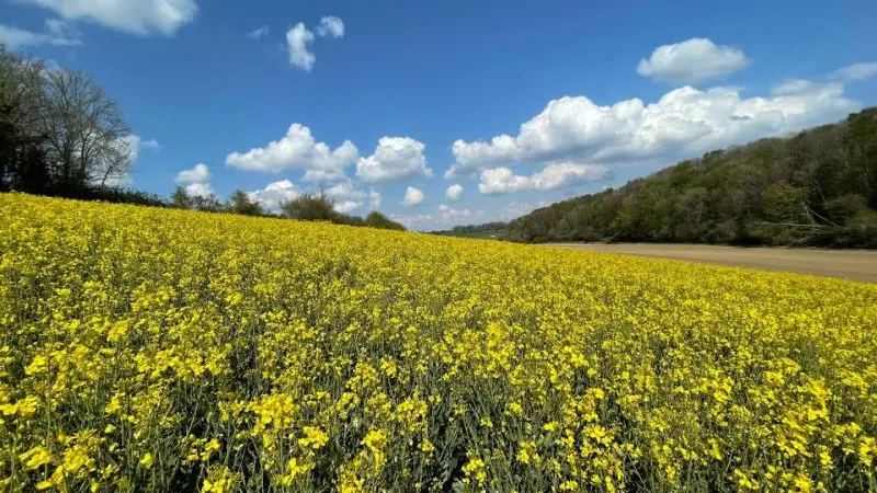 Gîtes de France® - Gîte d'Eclehêtre