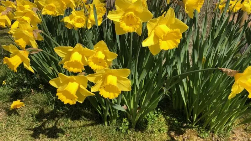 Gîtes de France® - Gîte d'Eclehêtre