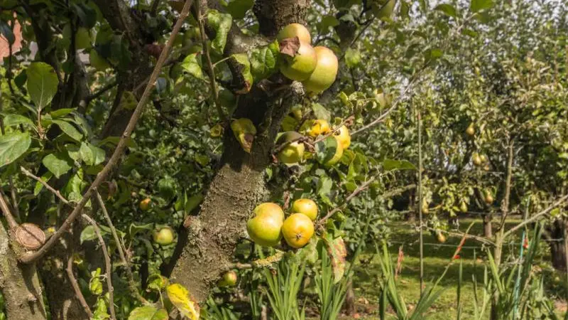 Gîtes de France® - Le Colombier