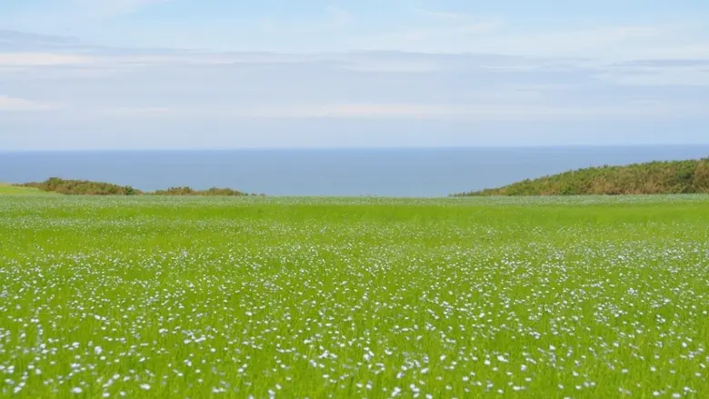 Gîtes de France® - Les Sapins