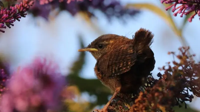 Gîtes de France® - Le Phare Ouest