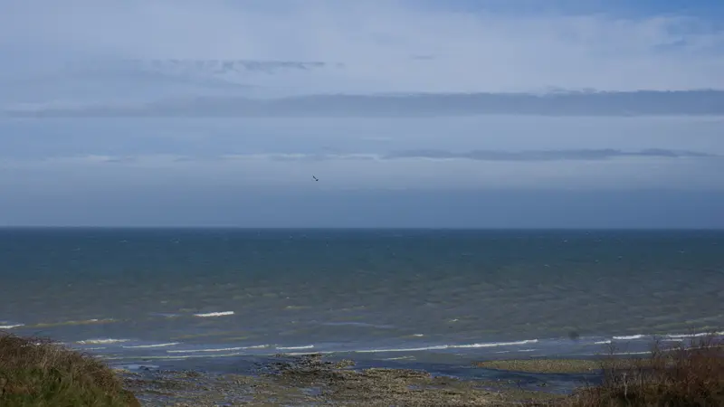Gîtes de France® - Le Phare Ouest