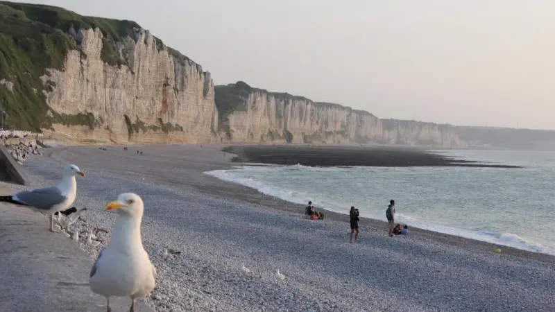 La Bonne Fée Campoise
