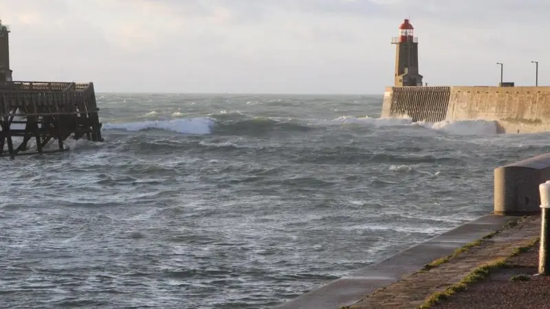 La Bonne Fée Campoise