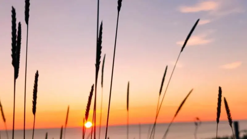 Gîtes de France® - La Goélette