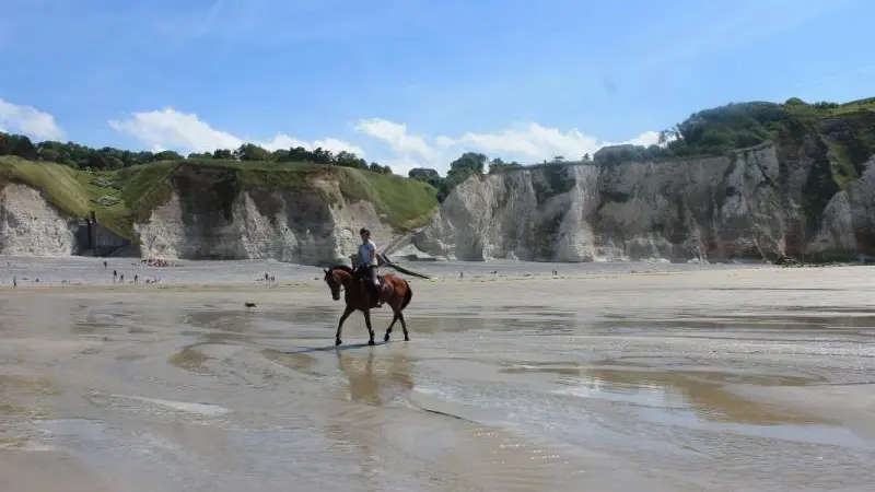 Gîtes de France® - La Goélette