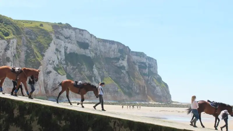 Gîtes de France® - La Goélette