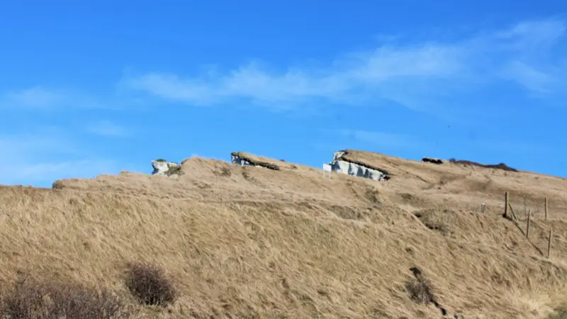 Gîtes de France® - La Goélette