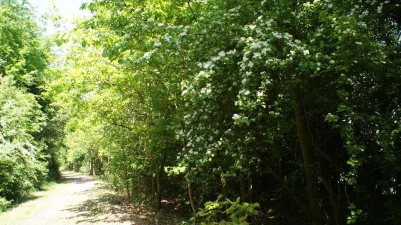 Gîtes de France® - L'Evasion