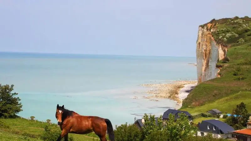 Gîtes de France® - Les Dalles - Vue Mer