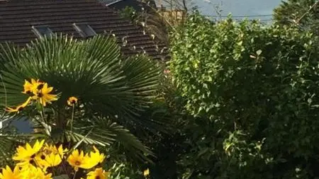 Gîtes de France® - Les Dalles - Vue Mer