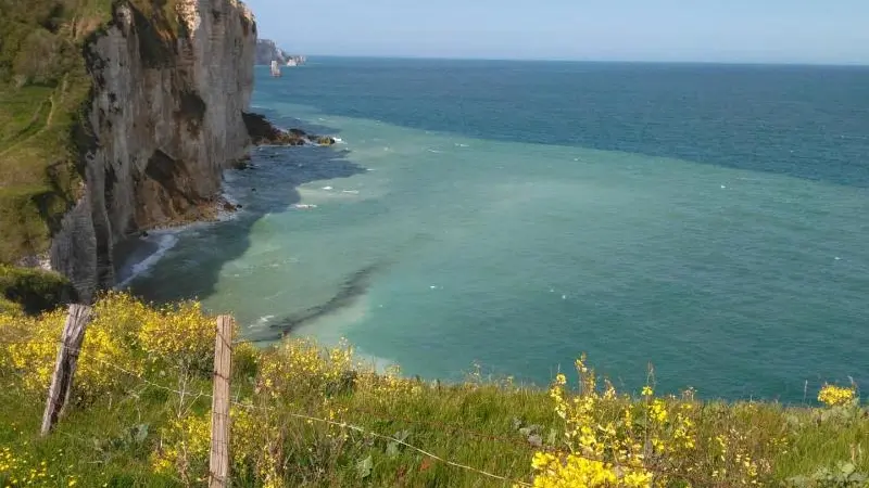 Gîtes de France® - Le Brandeville