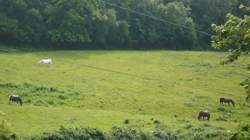 Gîtes de France® - Cottage du Parc