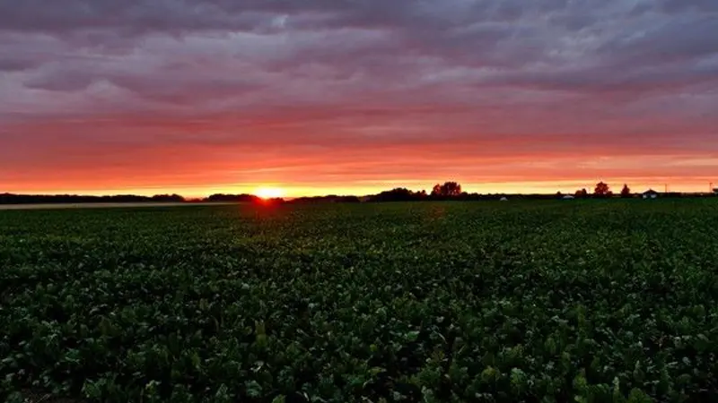 Gîtes de France® - Chalet Sunset