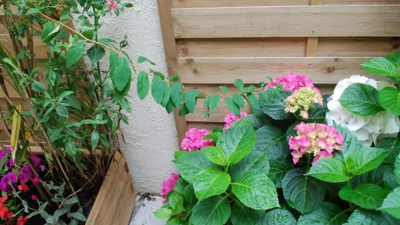 Gîtes de France® - Neshama 2mn de la plage et du port