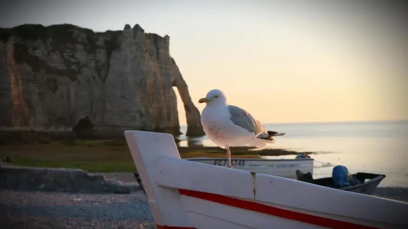 Gîtes de France® - Au Bord du Quai