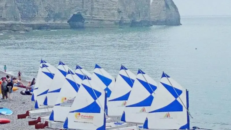 L'oiseau Blanc