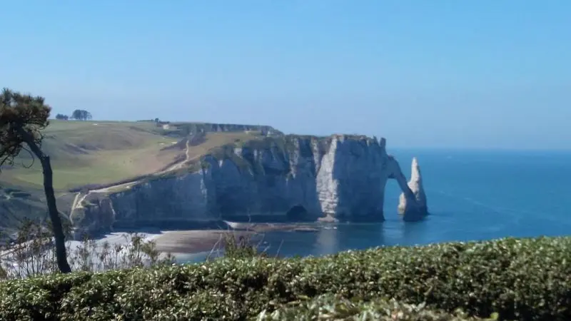 L'oiseau Blanc