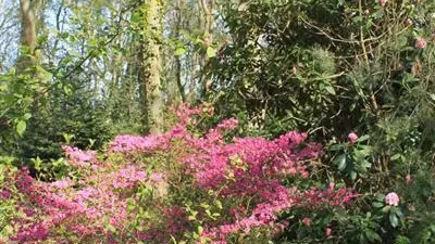 Gîtes de France® - Le Lodge du Bayou