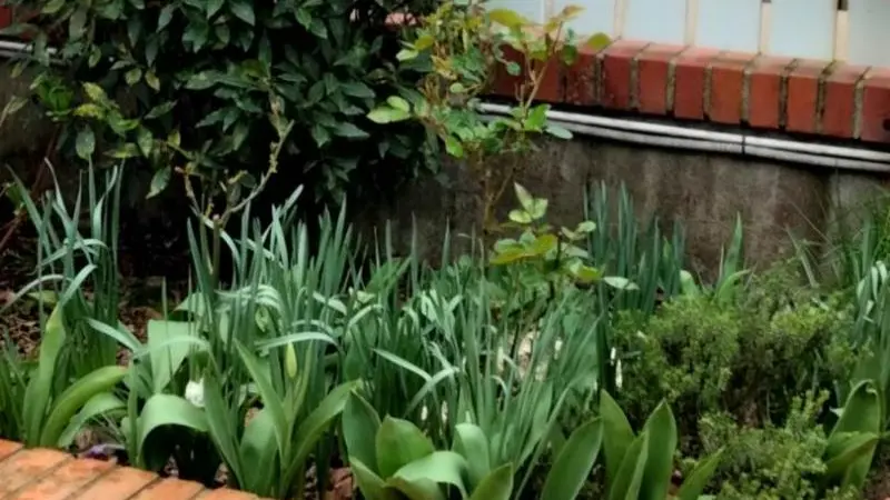 Gîtes de France® - Le Coin Tranquille