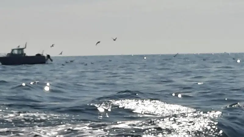 Gîtes de France® - La Corderie