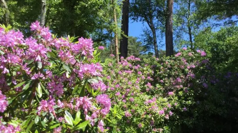 Gîtes de France® - L'Orée du Phare