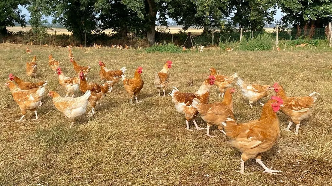 SCEA la ferme du pays pissy poville