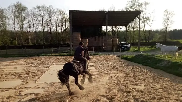 Gîte à la ferme la ferme du Manoir chevaux Saint Nicolas de la Haie M. et Mme BRUMENT Caux Seine Tourisme