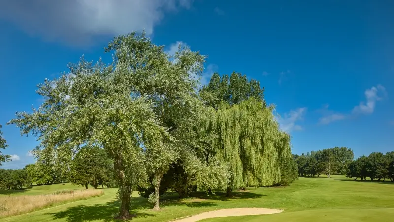 Golf de Dieppe