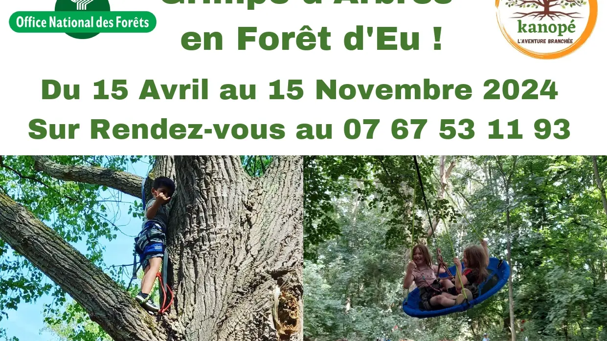 Grimpe d'arbres _20240125_163709_0000_page-0001