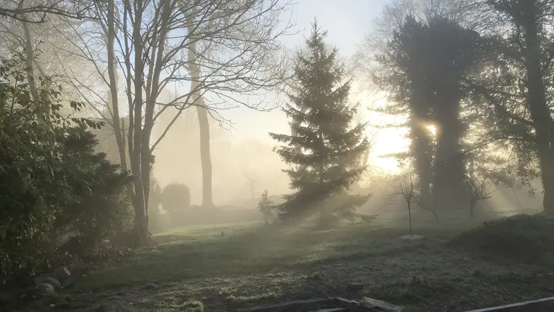 jardin d'hiver