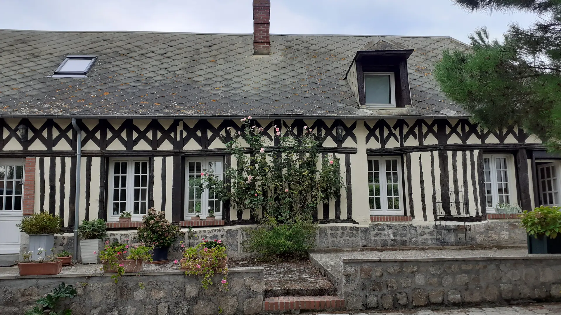 HLO_ingouville_fleurs-des-champs©otca-2022 (1)