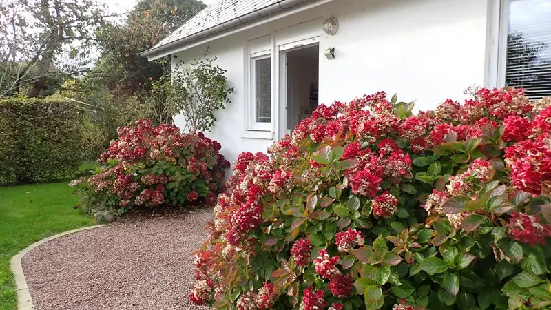 HLO_st valery_meliga©bruneval-2025 (10)