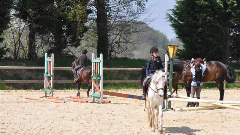 Haras du Cèdre - Saint Vaast Dieppedalle