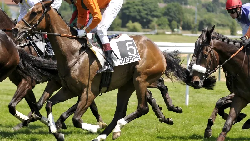 Hippodrome de Dieppe