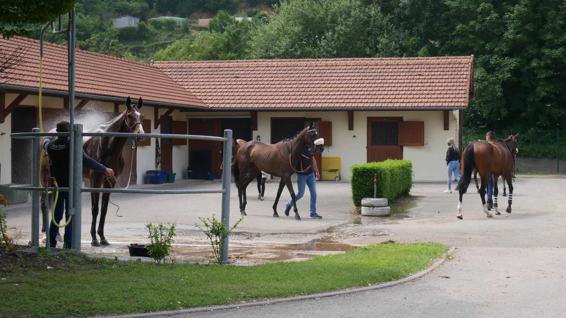 Hippodrome de Dieppe